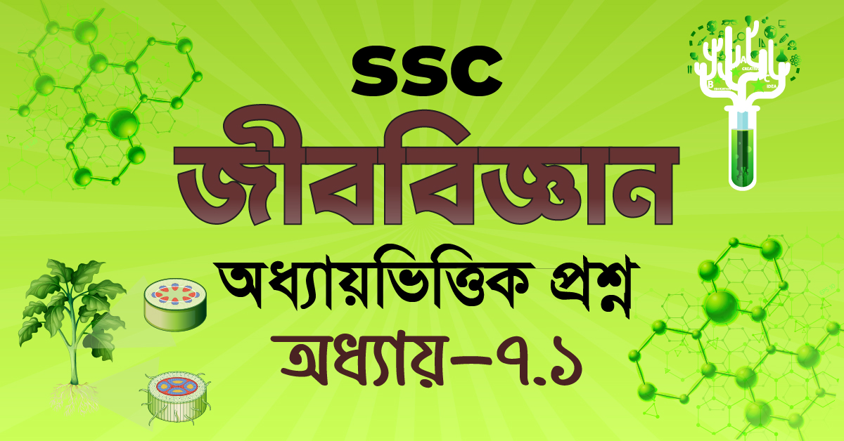Exam Card Image